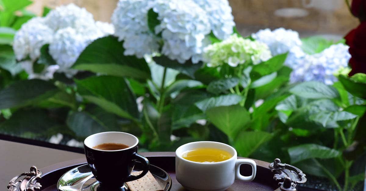 Flintcoffee Cafe / Restaurant footer